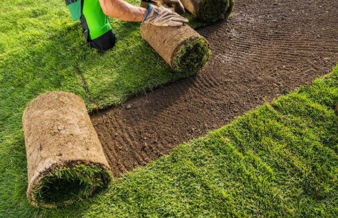 The Landscape Man Landscaping Services The Landscape Man Landscaping Services