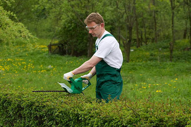 professional landscaping in Hertfordshire professional landscaping in Hertfordshire